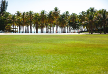 The Aesthetic Appeal of Multi-Toned Artificial Turf in Modern Landscaping