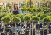 Top Nurseries to Buy Rare and Hardy Perennials