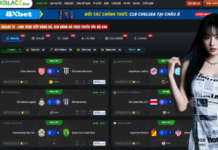 Mastering the Dynamics of English Football Through Modern Digital Analysis