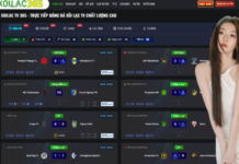 The Pulse of the Pitch with Live Football and Daily Updates